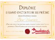 Dictatorship !, Dictator Diploma • (Painting)